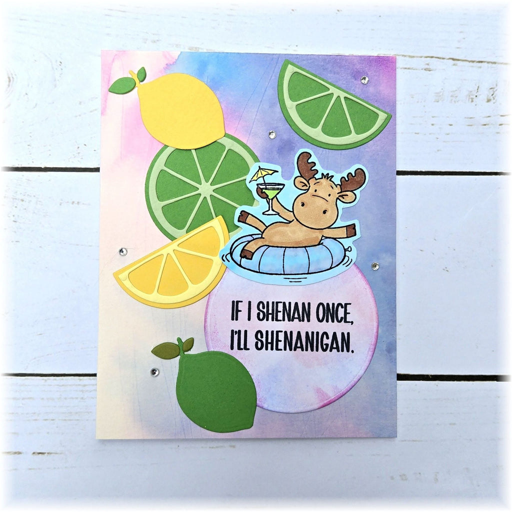 Riley and Company Funny Bones If I Shenan Once Clear Stamp rwd-1444 citrus