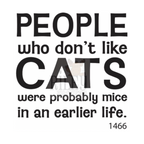 Riley and Company Funny Bones People Who Don't Like Cats Clear Stamp rwd-1466