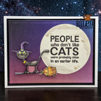 Riley and Company Funny Bones People Who Don't Like Cats Clear Stamp rwd-1466 flying cat