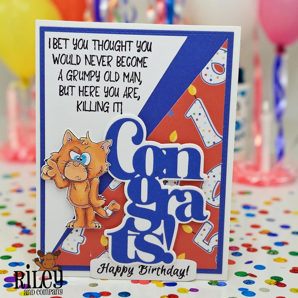 Riley and Company Stressed Out Hank Clear Stamps rclr2021 happy birthday old man