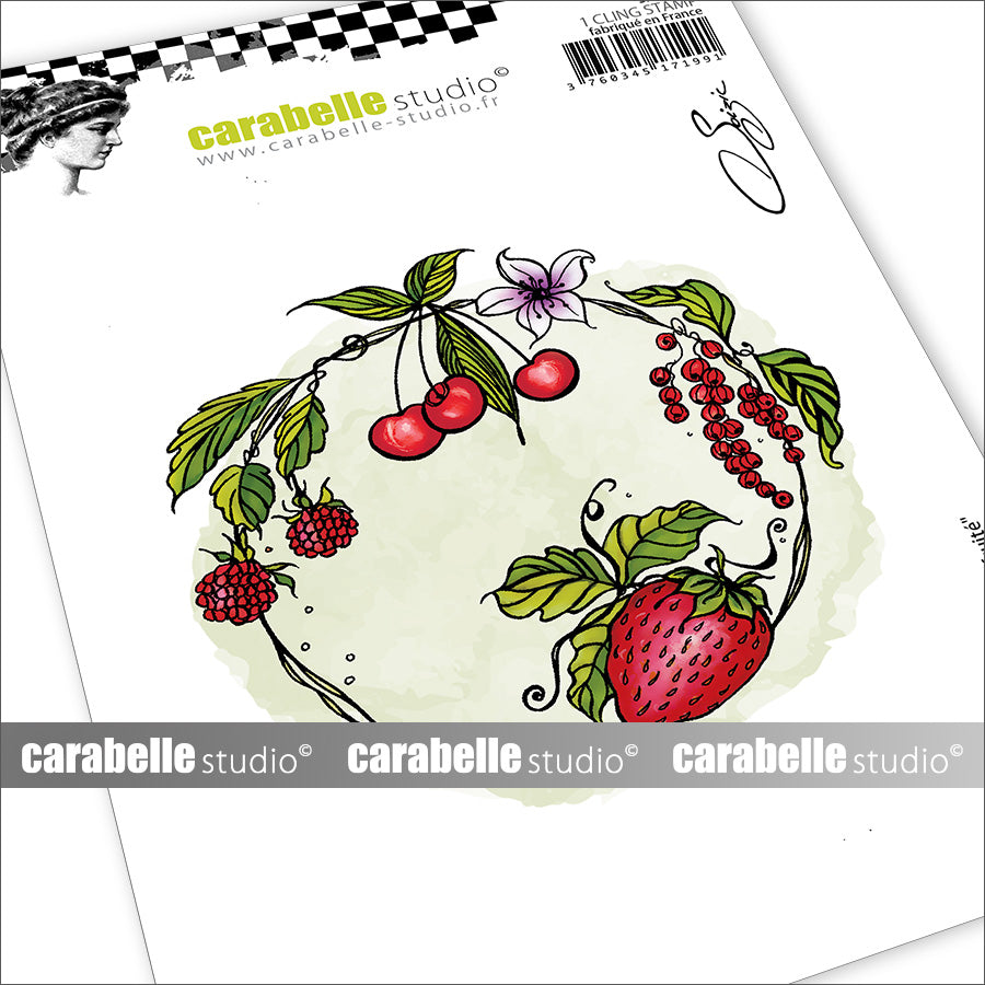 Carabelle Studio Cercle Fruité A6 Cling Stamps sa60654
