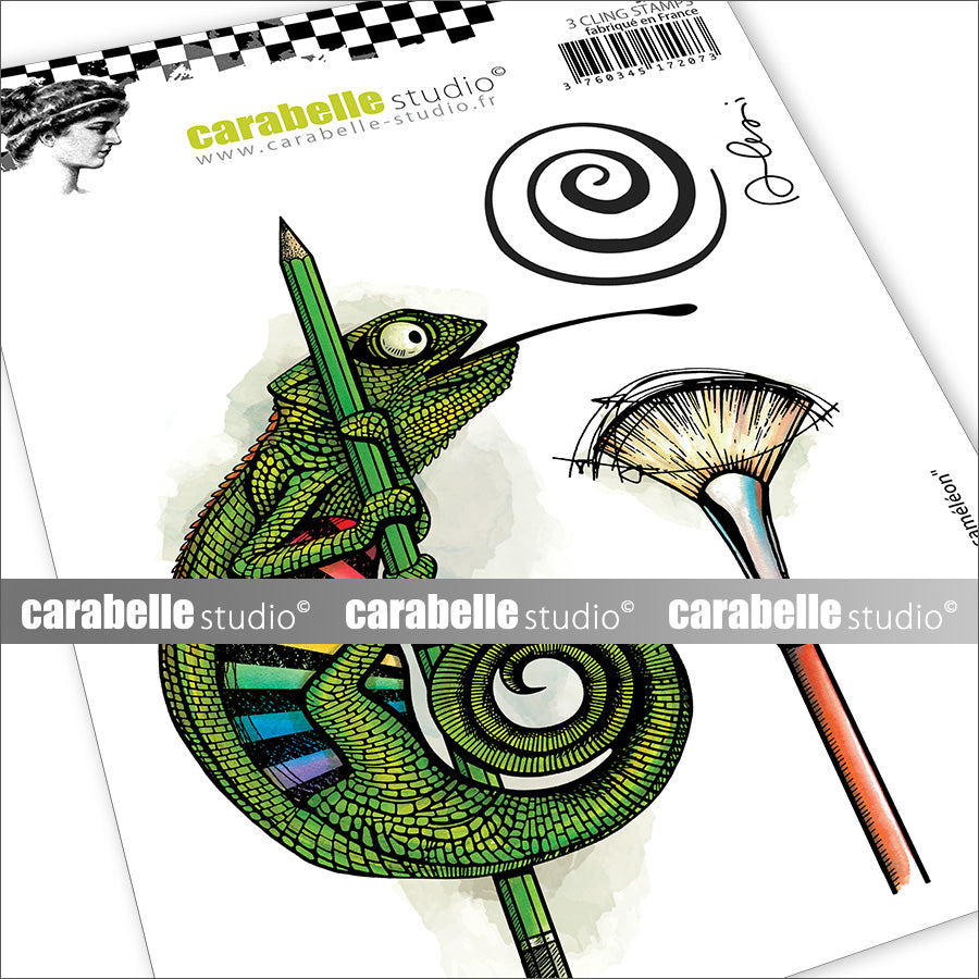 Carabelle Studio L’Art Du Caméléon A6 Cling Stamps sa60662