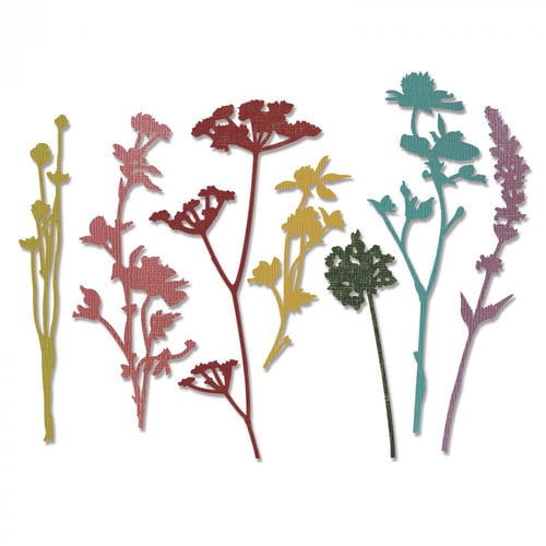 Tim Holtz Wildflowewrs Die Set