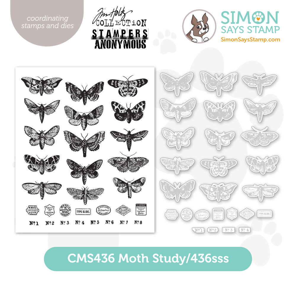 SET_MothStudy_storeimage1