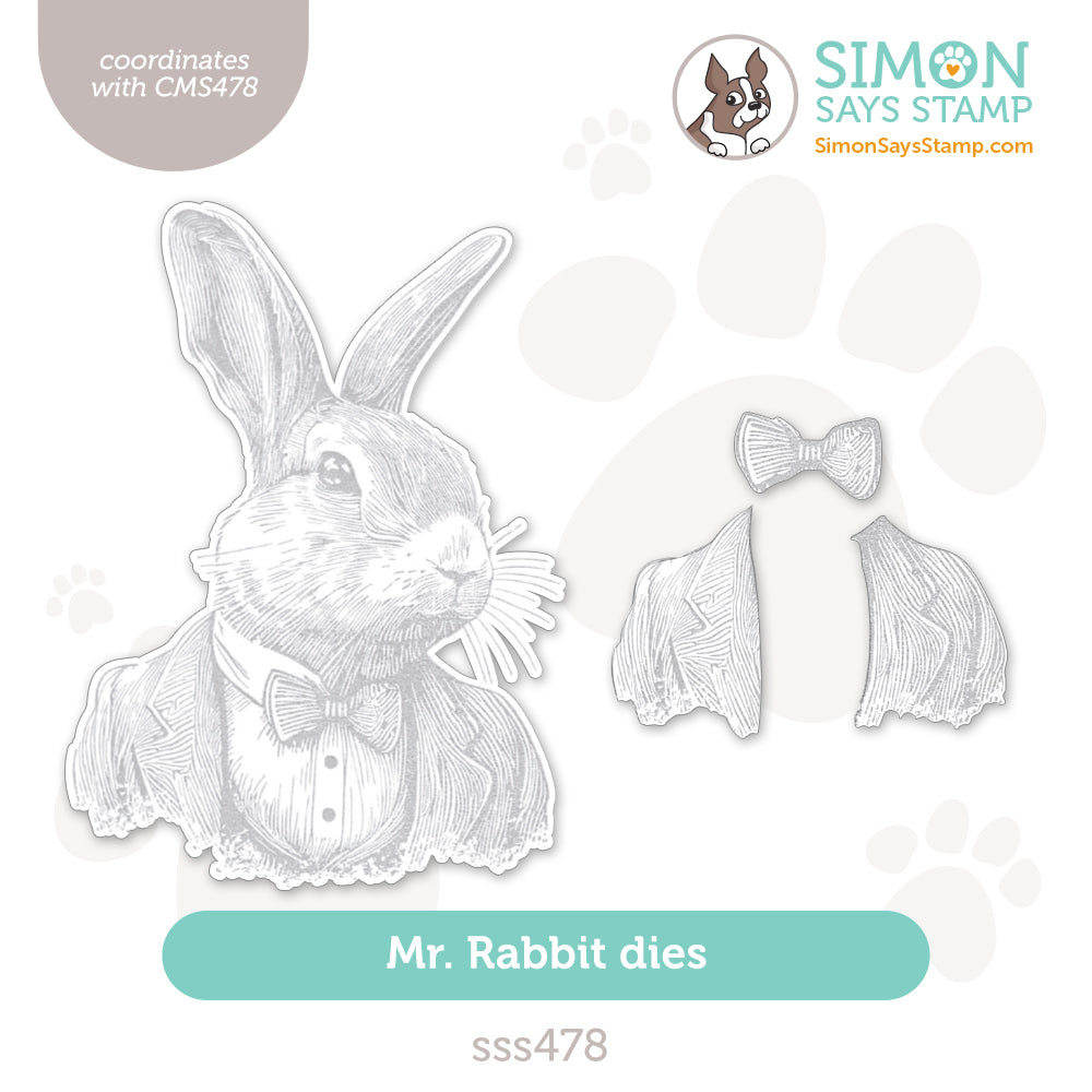 Simon Says Stamp Mr Rabbit coordinatine dies