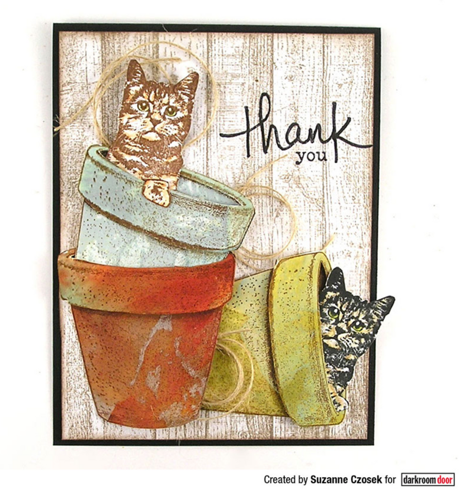 Darkroom Door Terracotta Pot Eclectic Cling Stamp ddes057 thank you cats in flower pots card