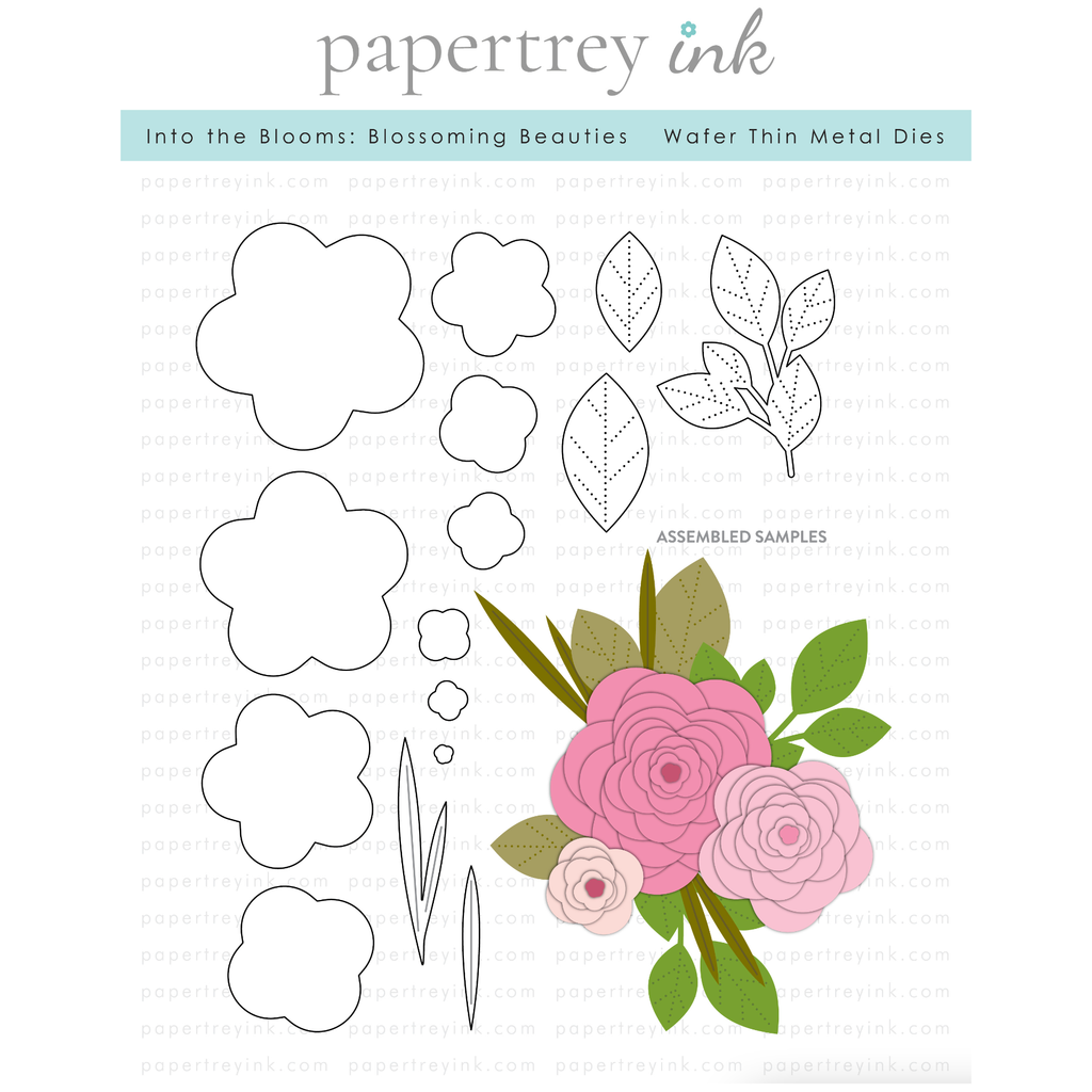 Papertrey Ink Into The Blooms Blossoming Beauties Dies PTI-0633