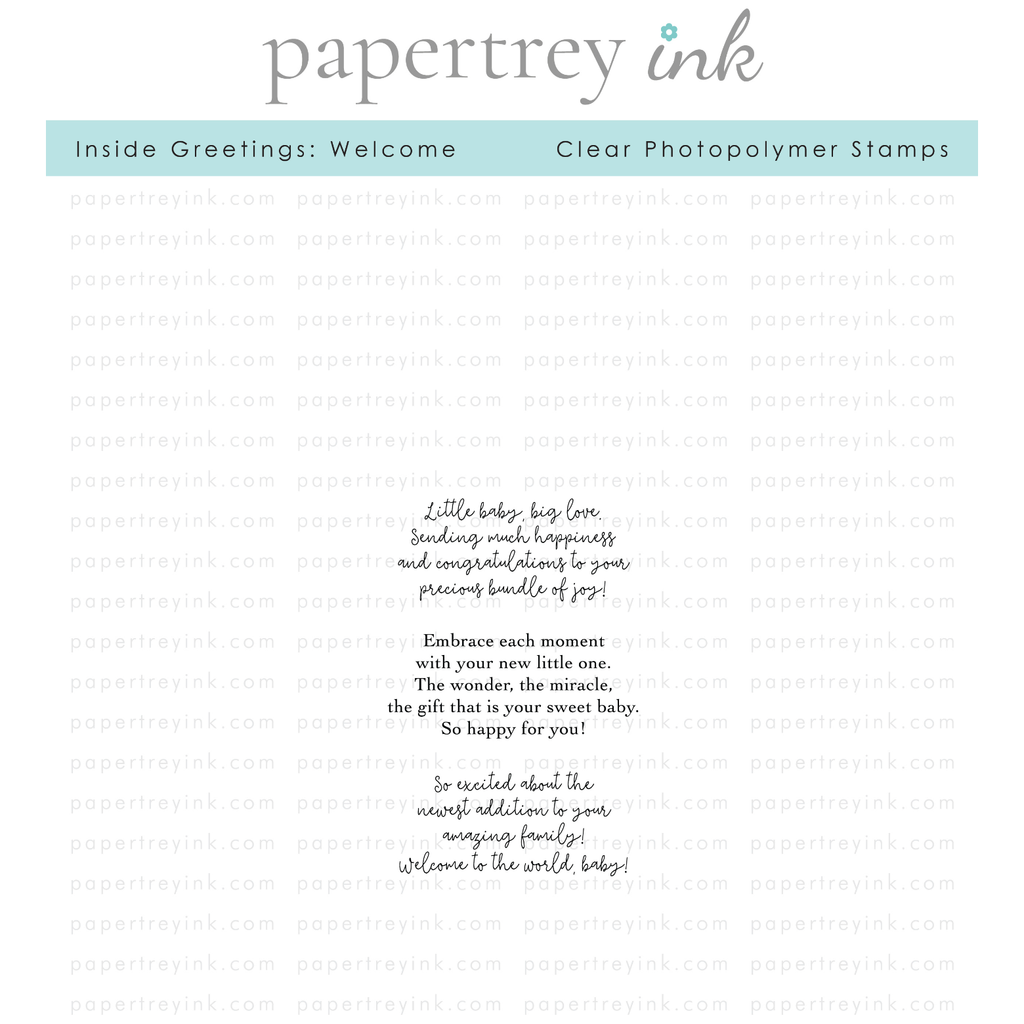 Papertrey Ink Inside Greetings Welcome Clear Stamps 1513