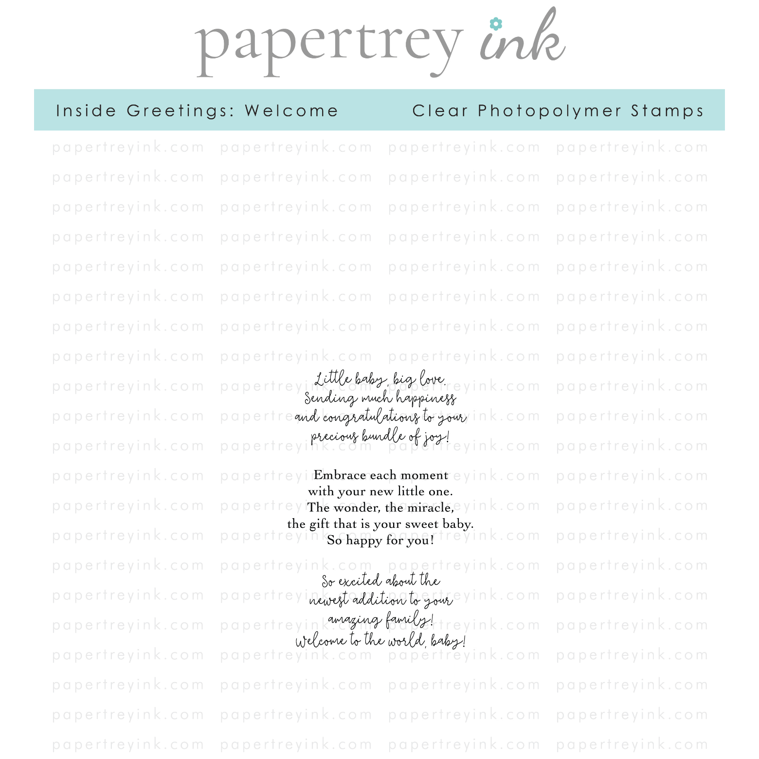 Papertrey Ink Inside Greetings Welcome Clear Stamps 1513
