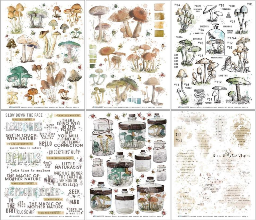 49 and Market Vintage Artistry Nature Study Mushrooms 6x8 inch Rub On Transfer Sheets NS-23305 Mushrooms