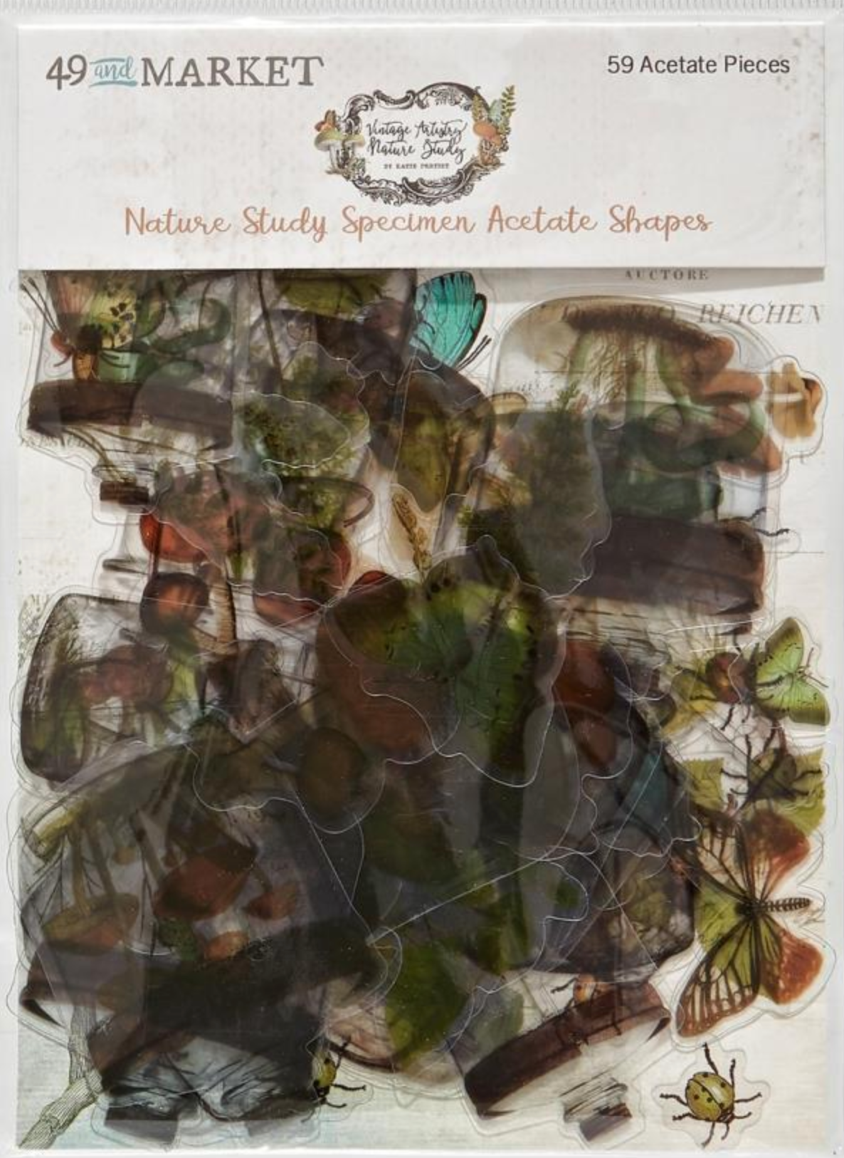 49 and Market - Nature Study Collection - Acetate Shapes - Specimen
