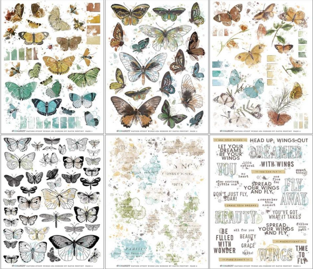 49 and Market Vintage Artistry Nature Study Wings 6x8 Inch Rub On Transfer Sheets NS-23299 Splatters
