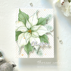 Alex Syberia Designs Festive Poinsettia Die Set asdcd73 White Poinsettia
