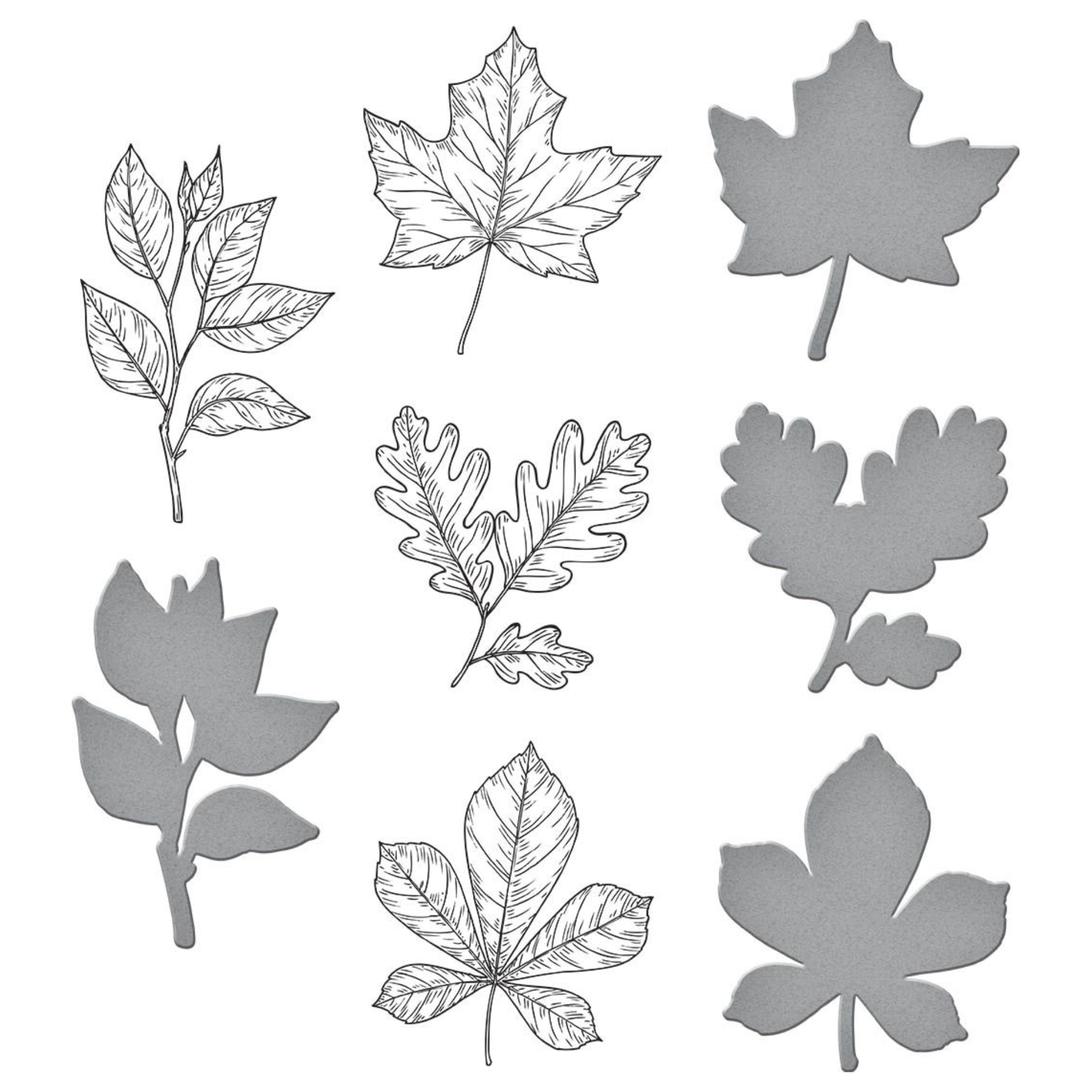 BP-082 Spellbinders Autumn Leaves Press Plate and Die Set