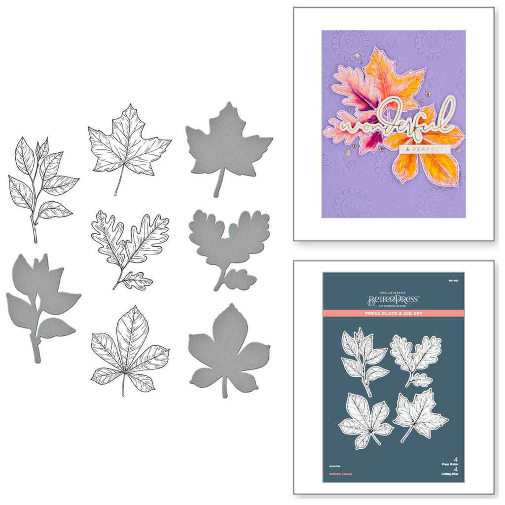 BP-082 Spellbinders Autumn Leaves Press Plate and Die Set detailed product photo
