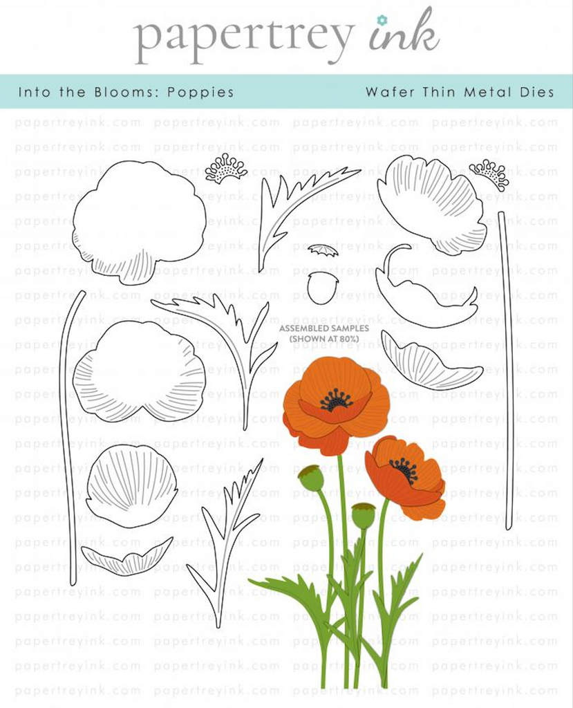 Papertrey Ink Into the Blooms Poppies Dies PTI-0669