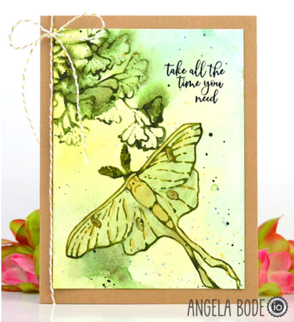 Impression Obsession Clear Stamps Maidenhair Fern cl1254 moth
