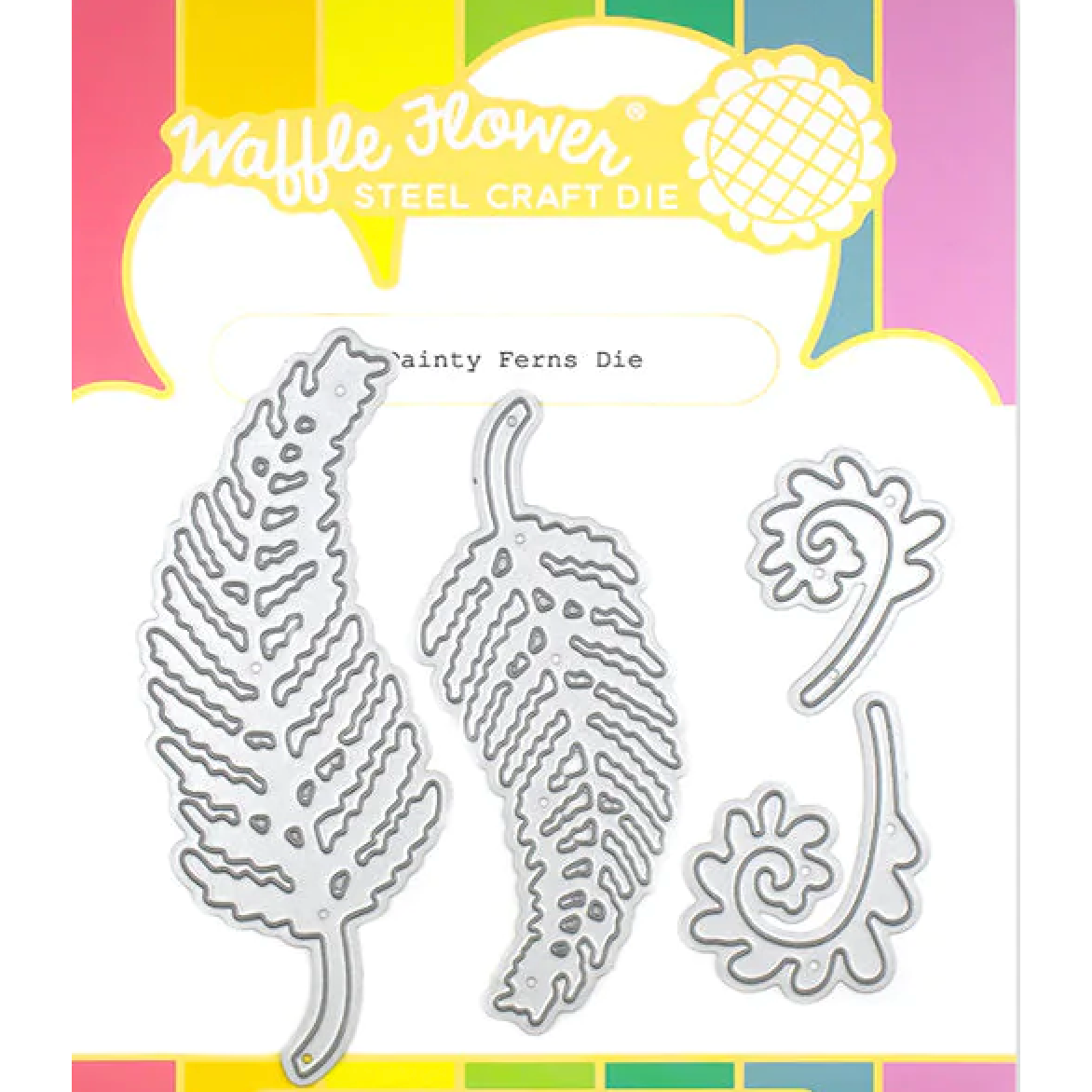 Waffle Flower Dainty Ferns Dies 421278