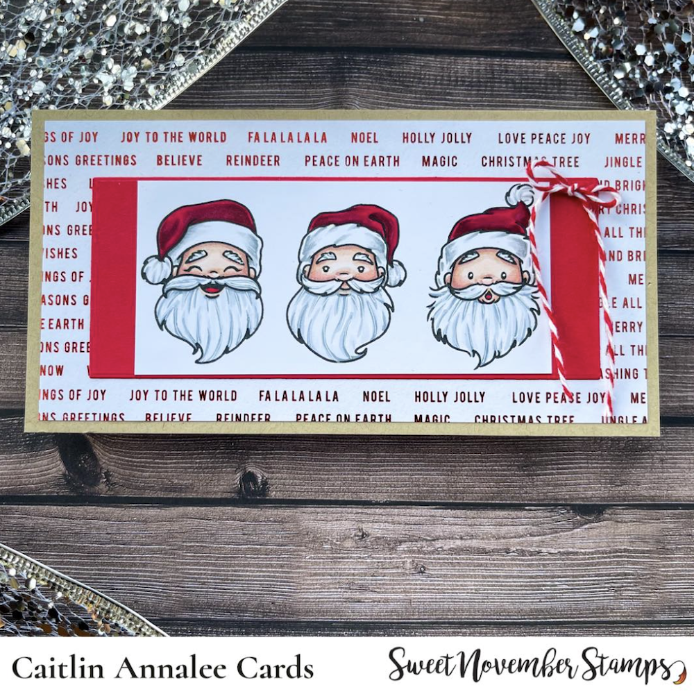 Sweet November Stamps Santa Claus is Coming to Town Stamp Set sns-xm-sc-21 caitlin