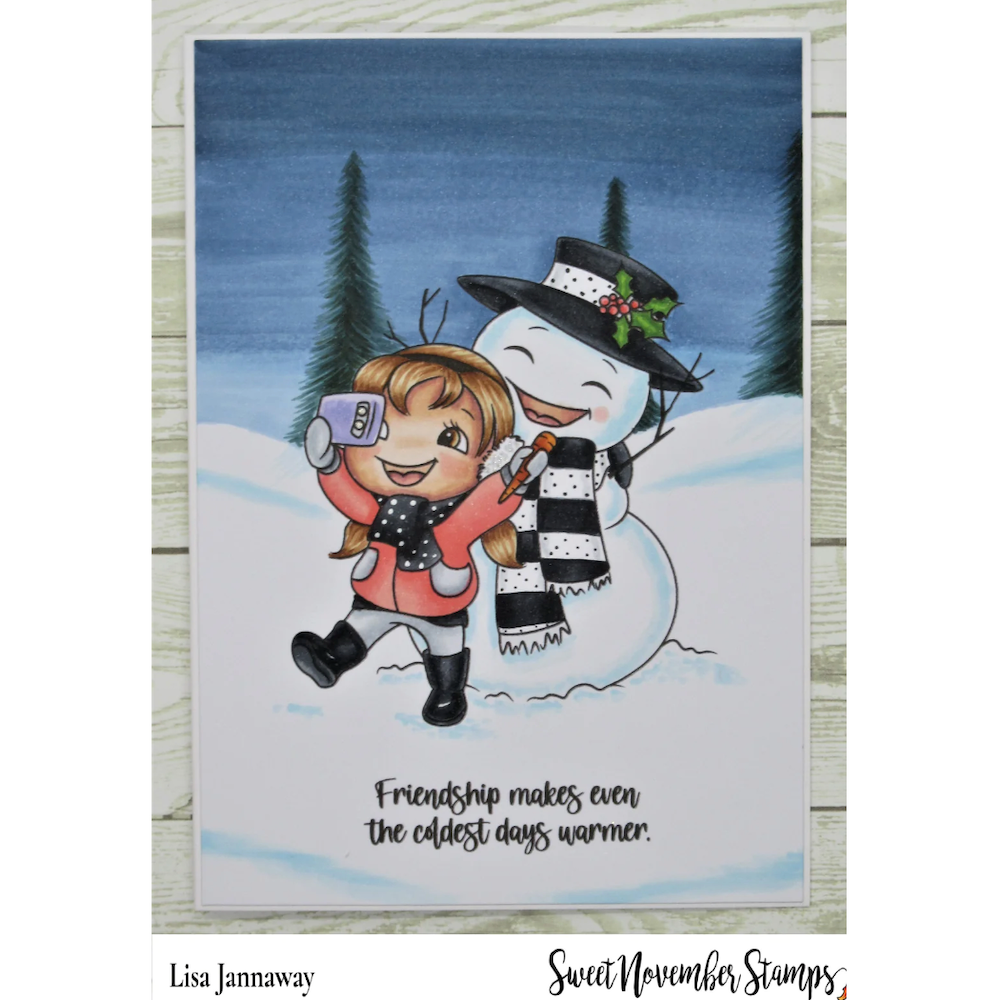 Sweet November Stamps Snowman Selfie Clear Stamp Set sns-cg-ss-22 lisa