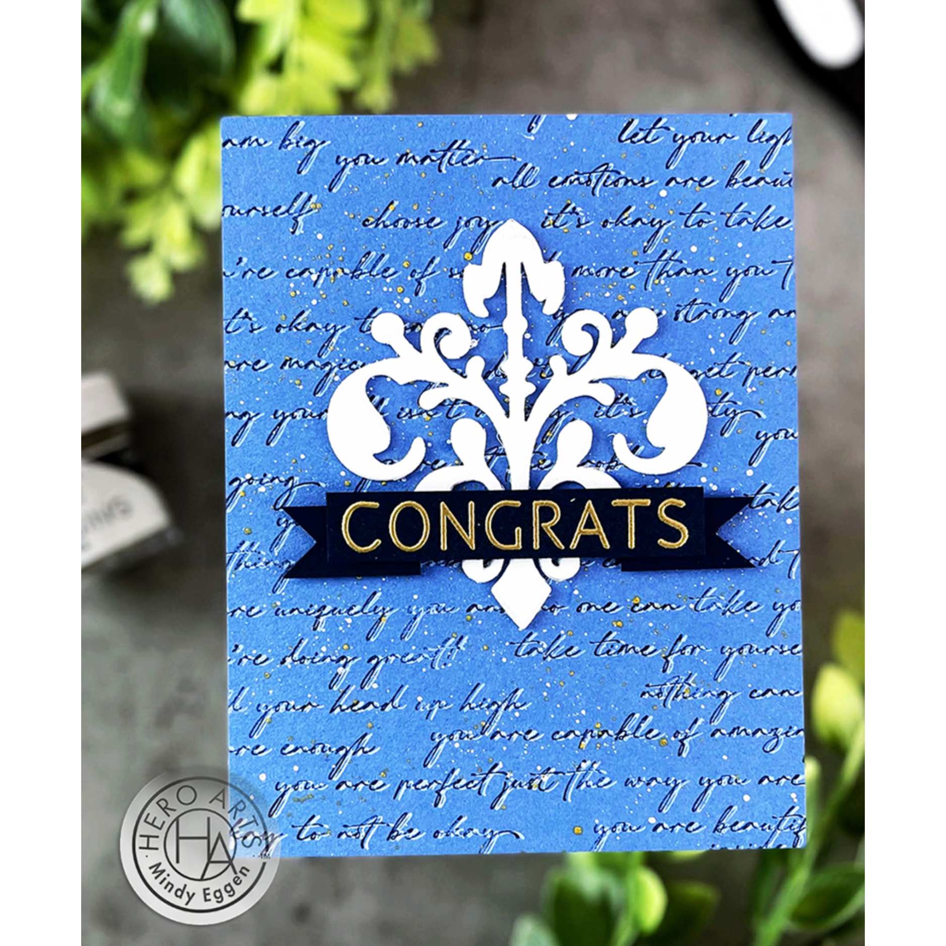Hero Arts Fancy Cuts Dies Decorative Accents df172 congrats