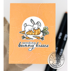 Hero Arts Spring Bunny Clear Stamp and Die Set sb388 carrot