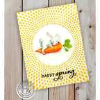 Hero Arts Spring Bunny Clear Stamp and Die Set sb388 happy spring