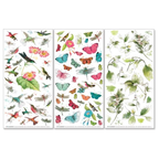 49 and Market Kaleidoscope Botanical Rub On Transfer Set kal-27198 product image