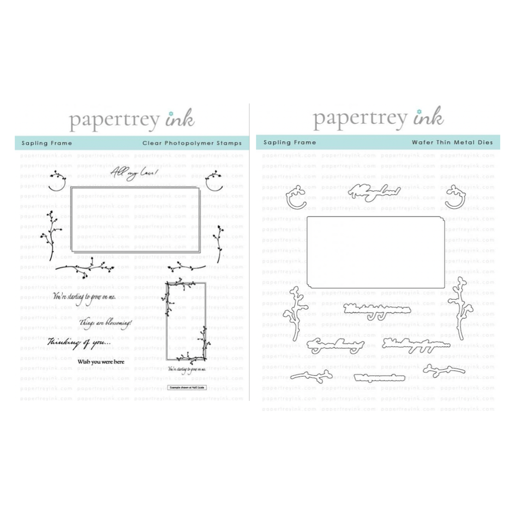 Papertrey Ink Sapling Frame Clear Stamp and Die Set
