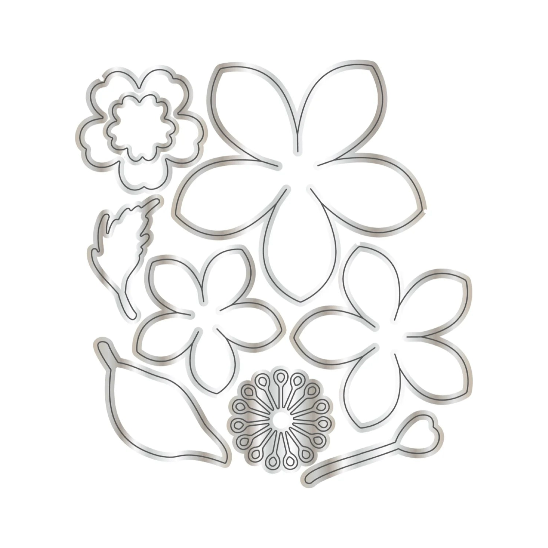 Chloe's Creative Cards Flower Swirl Folder, Stamp, Die and Vellum Bundle