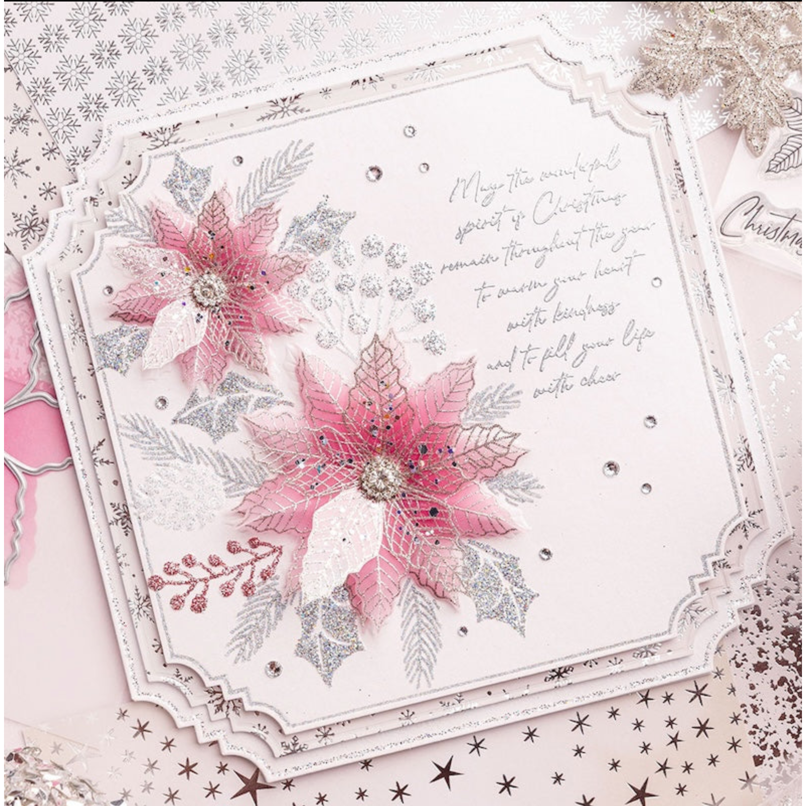 Chloe’s Creative Cards Poinsettia Folder, Die, Stamp and Vellum Bundle