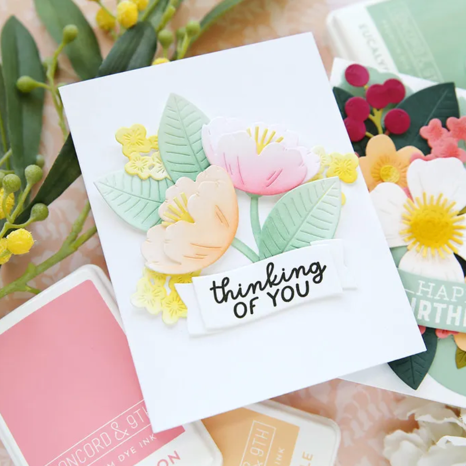 Concord & 9th Everyday Expressions Die Set 12030 laura | color-code:ALT01