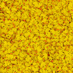 Trinity Stamps Quackers Embellishment Mix emb-0311