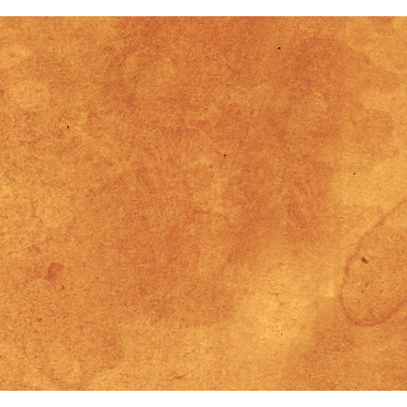 Tim Holtz Fabric By The Yard Orange Vintage pwth239 Eclectic Elements Palette