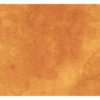 Tim Holtz Fabric By The Yard Orange Vintage pwth239 Eclectic Elements Palette