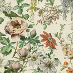 Tim Holtz Fabric By The Yard Orange Botanical pwth237 Eclectic Elements Palette