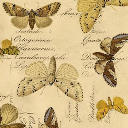 Tim Holtz Fabric By The Yard Yellow Specimen pwth244 Eclectic Elements Palette