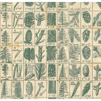 Tim Holtz Eclectic Elements Holidays Past Flannel Fabric By The Yard Pine Chart