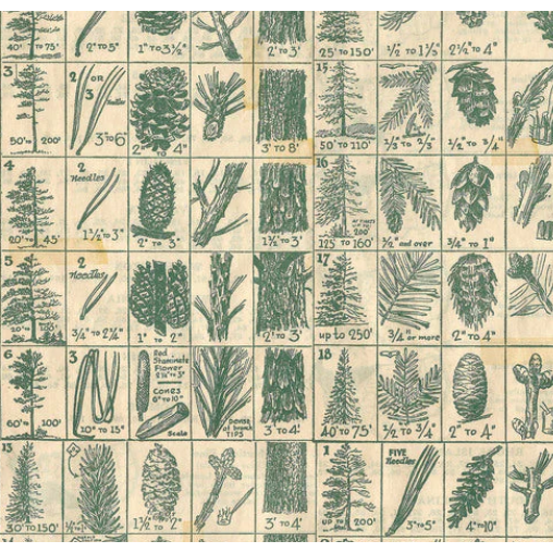 Tim Holtz Eclectic Elements Holidays Past Flannel Fabric By The Yard Pine Chart