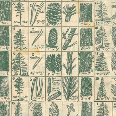 Tim Holtz Eclectic Elements Holidays Past Fabric By The Yard Pine Chart