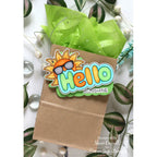 Simon Says Stamps and Dies Hello set784he Hello Gift Bag | color-code:ALT01