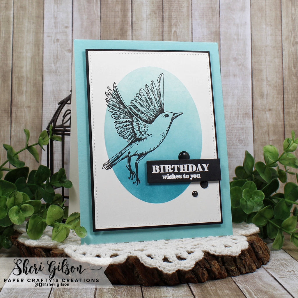 Gina K Designs FEARLESS FLYERS Clear Stamps mm111 birthday