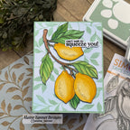 Simon Says Clear Stamps Squeeze You 3448ssc Every Happiness Alaine Tanner Lemons Squeeze You Card