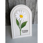 Simon Says Stamp Dewdrop Daisy Wafer Dies s1153 Shine On Lisa Addesa Birthday Wishes Card