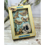 Simon Says Stamp Moth Study Wafer Dies 436sss Believe in Yourself Frame Natalia Alton