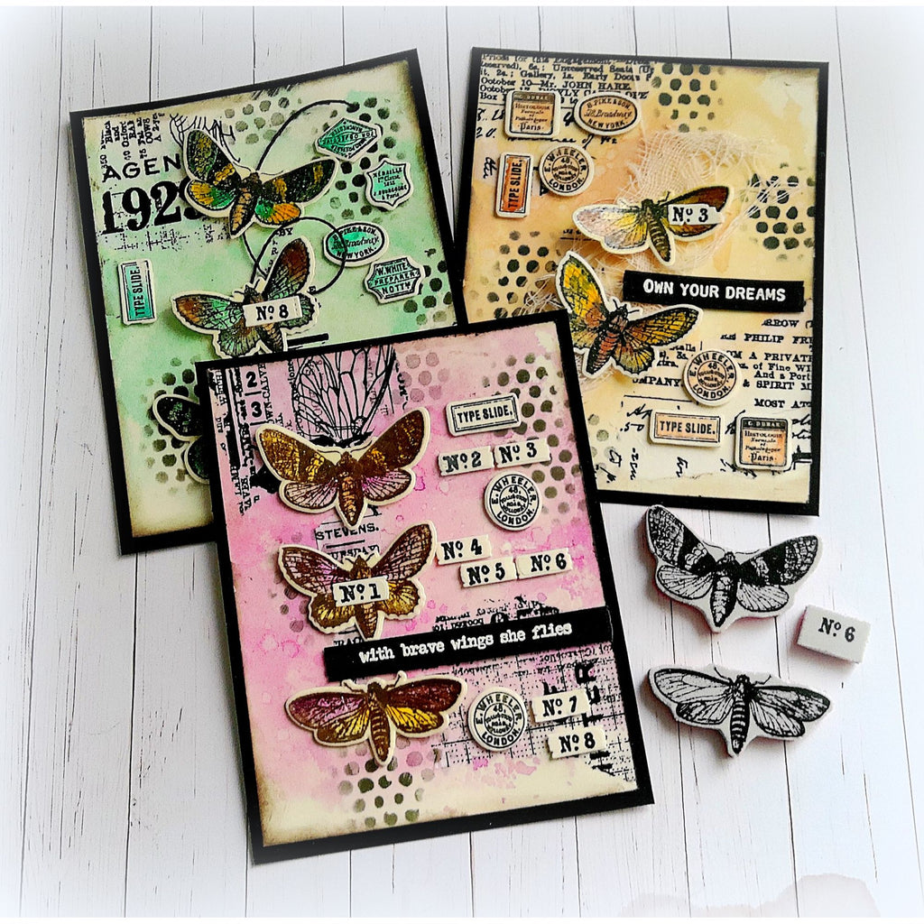 Simon Says Stamp Moth Study Wafer Dies 436sss Mixed Media Card Set Kath Stewart | color-code:ALT09