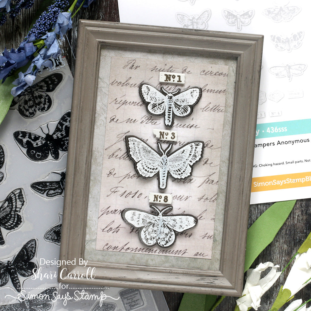 Simon Says Stamp Moth Study Wafer Dies 436sss Moth in a Frame Shari Carroll | color-code:ALT01