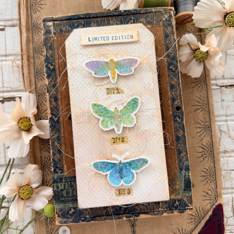 Simon Says Stamp Moth Study Wafer Dies 436sss Paula Cheney Moths and Cello Tag