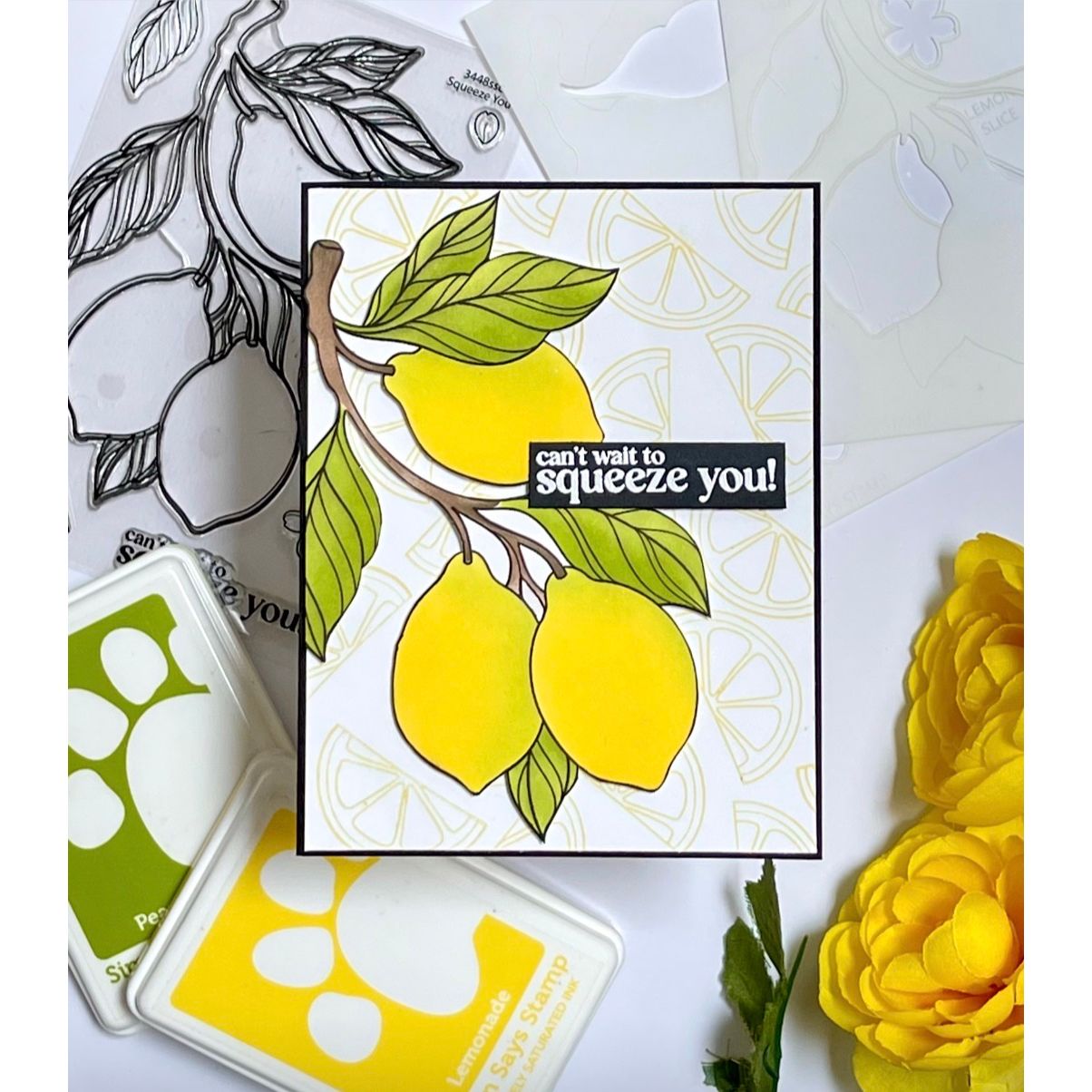 Simon Says Stamp Set of 2 Stencils Squeeze You 1154stc Every Happiness Barb Engler Squeeze You Card