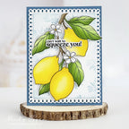 Simon Says Stamp Set of 3 Stencils Sweet Blooms 1149st Every Happiness Mindy Eggen Squeeze You Lemons Card